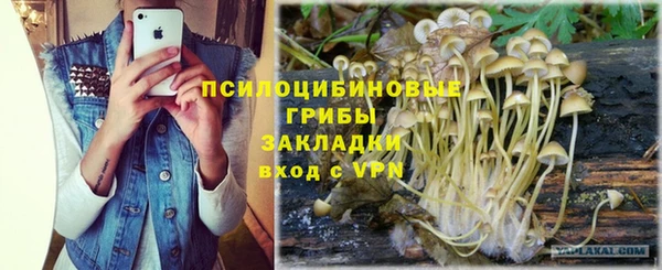 прущая мука Саяногорск