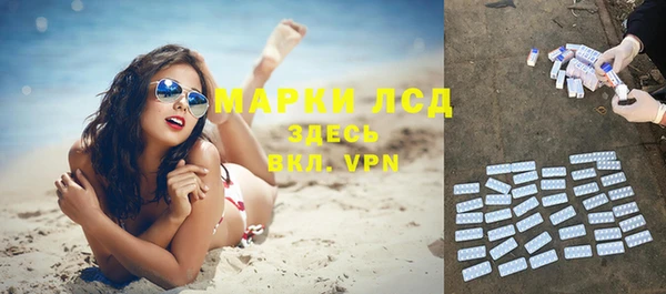 хмурый Сатка