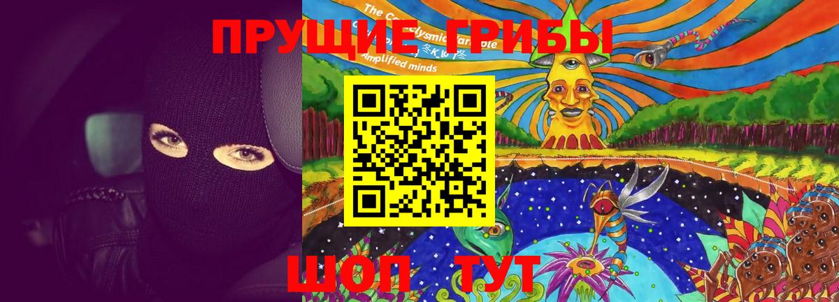Галлюциногенные грибы Psilocybe  купить  сайты  Слободской  Вход с VPN 
