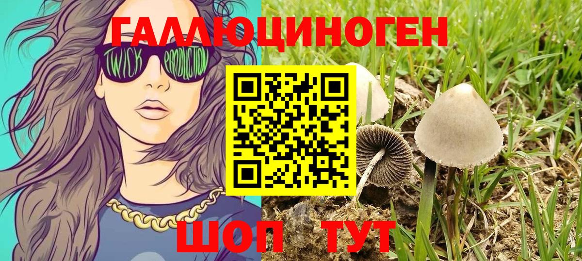 Галлюциногенные грибы прущие грибы Слободской