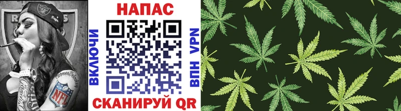 купить darknet наркотические препараты Бошки марихуана сатива Слободской
